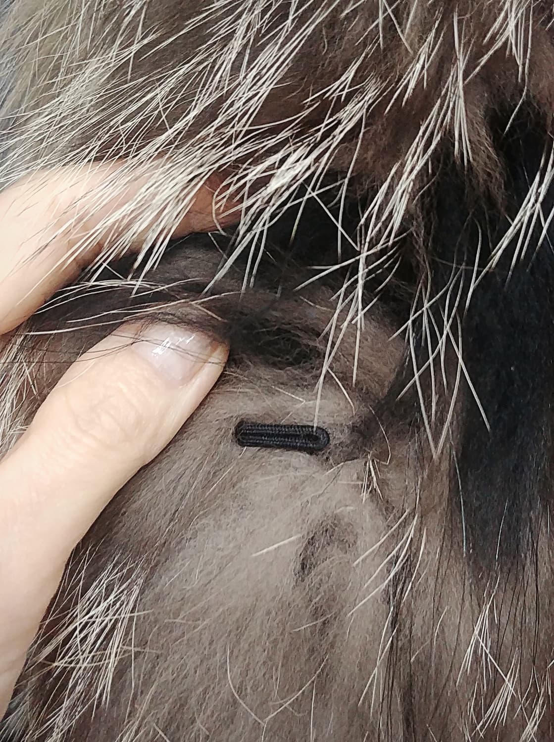 이자벨마랑Isabel Marant 폭스라쿤퍼 후드코트/0사이즈 상품이미지6