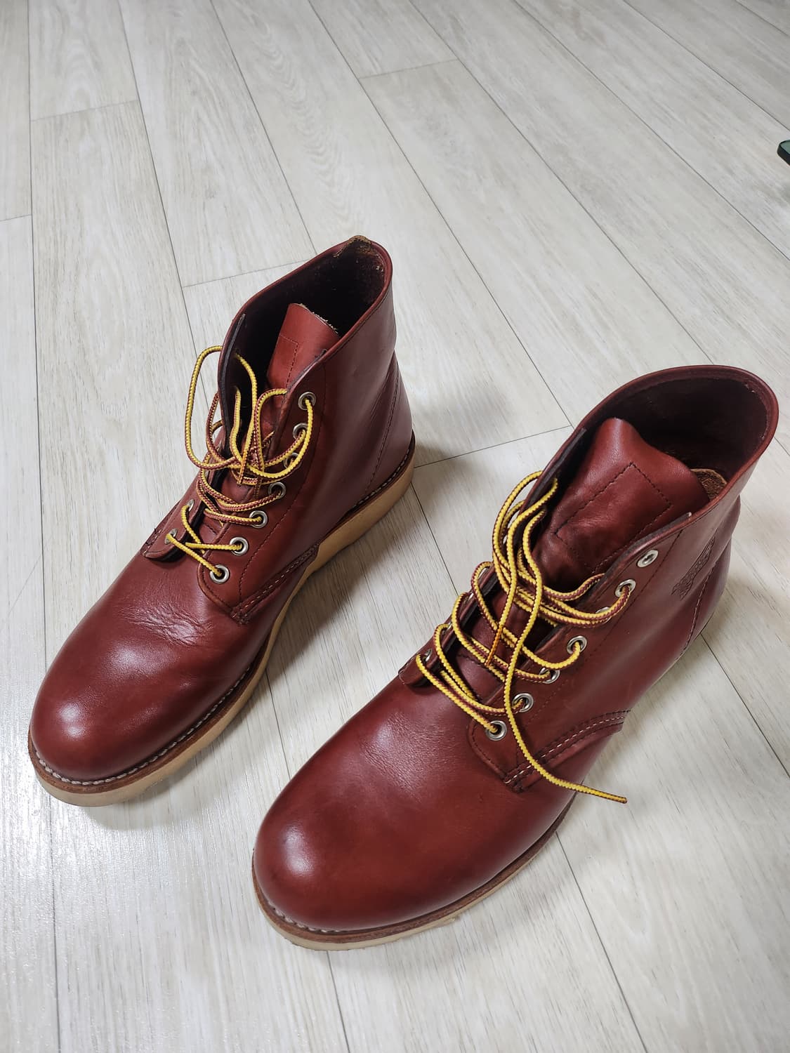 레드윙 9105 ( 8166 ) 오로러셋 라운드토 285 10.5 상품이미지4