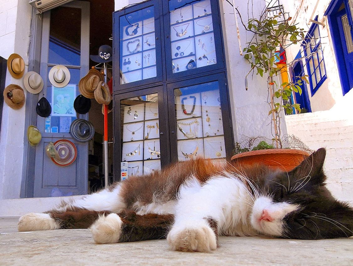 소니 sony cybershot wx5  상품이미지6