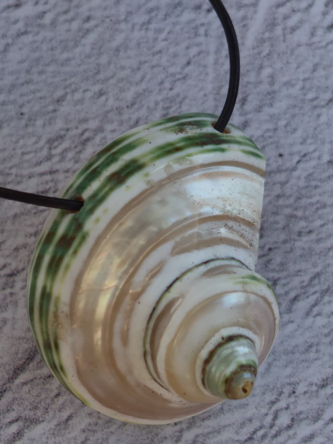 shell necklace 상품이미지5