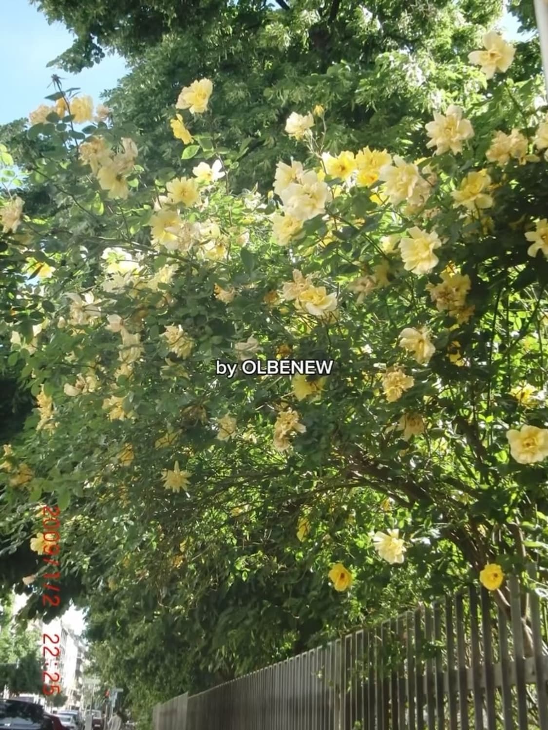 카시오 엑슬림 EX-FS10 상품이미지6