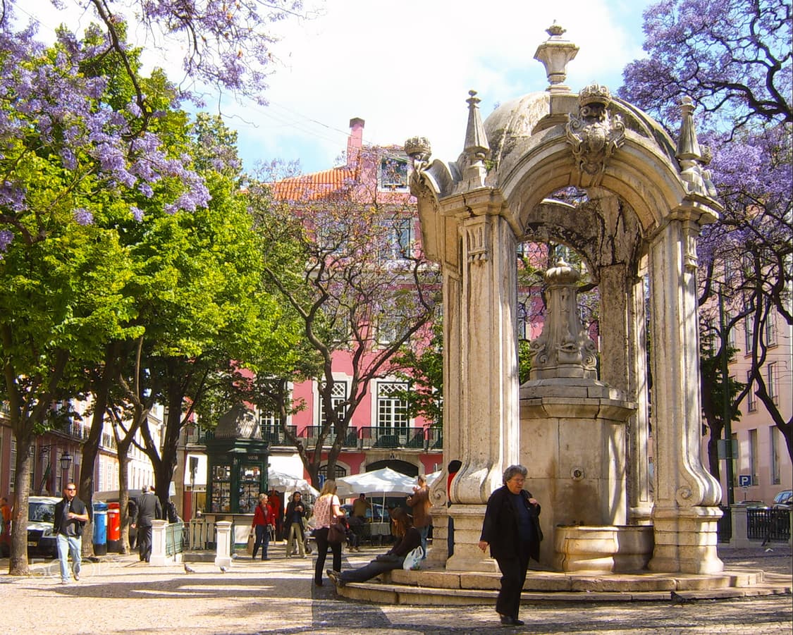 입문‧₊˚ Samsung Kenox V5 삼성 디카 케녹스 상품이미지3