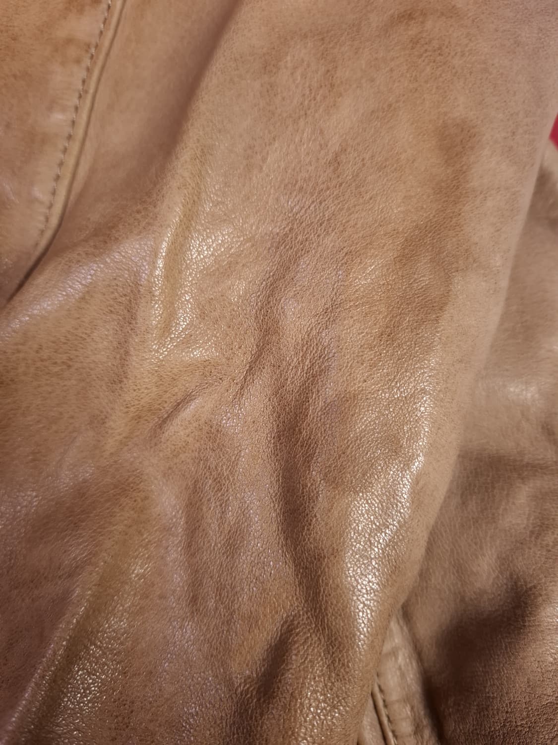 오리지날 AND Z 리얼램스킨 라이더자켓 상품이미지6