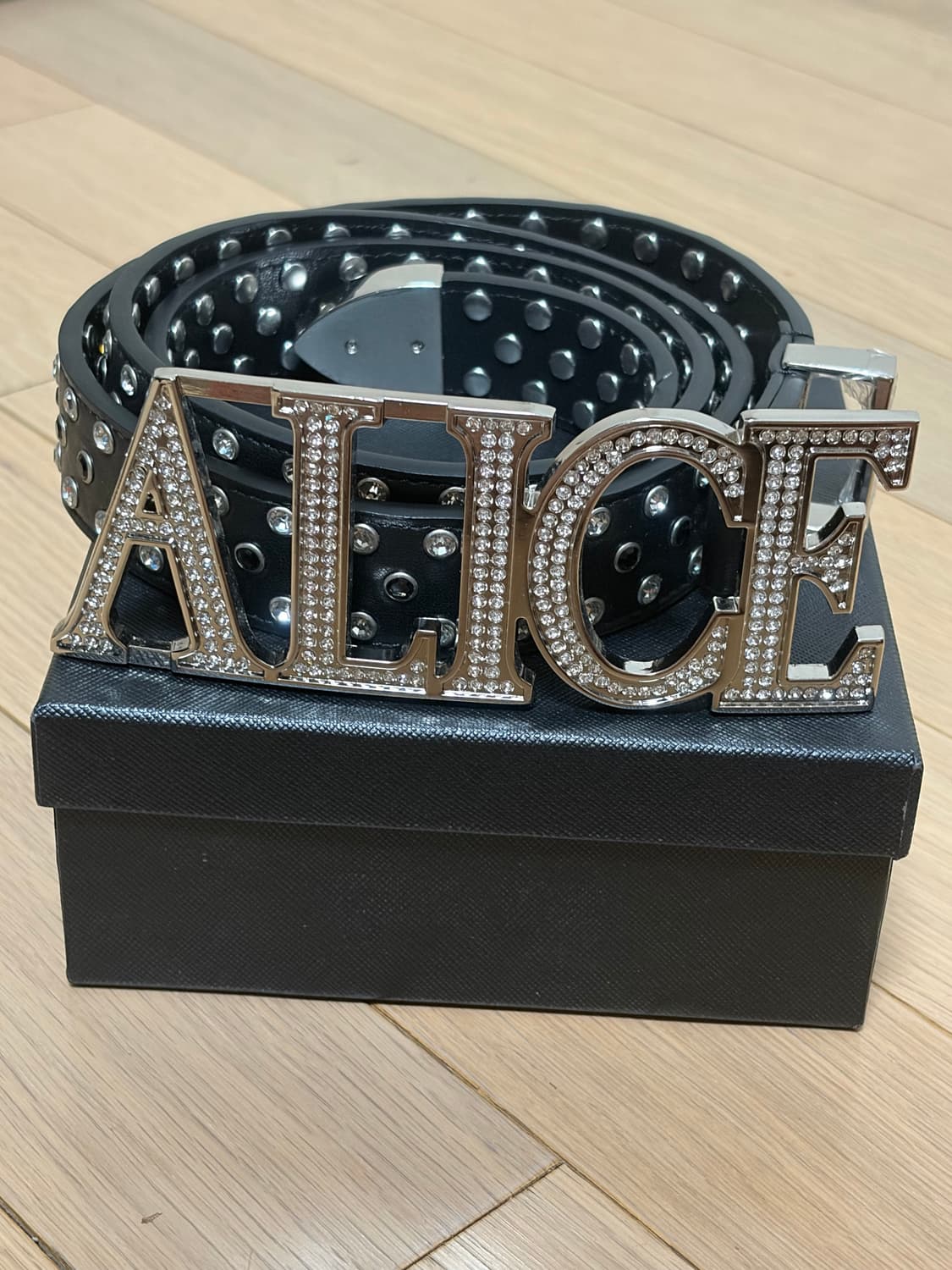 alice hollywood belt 앨리스 할리우드 벨트 상품이미지3