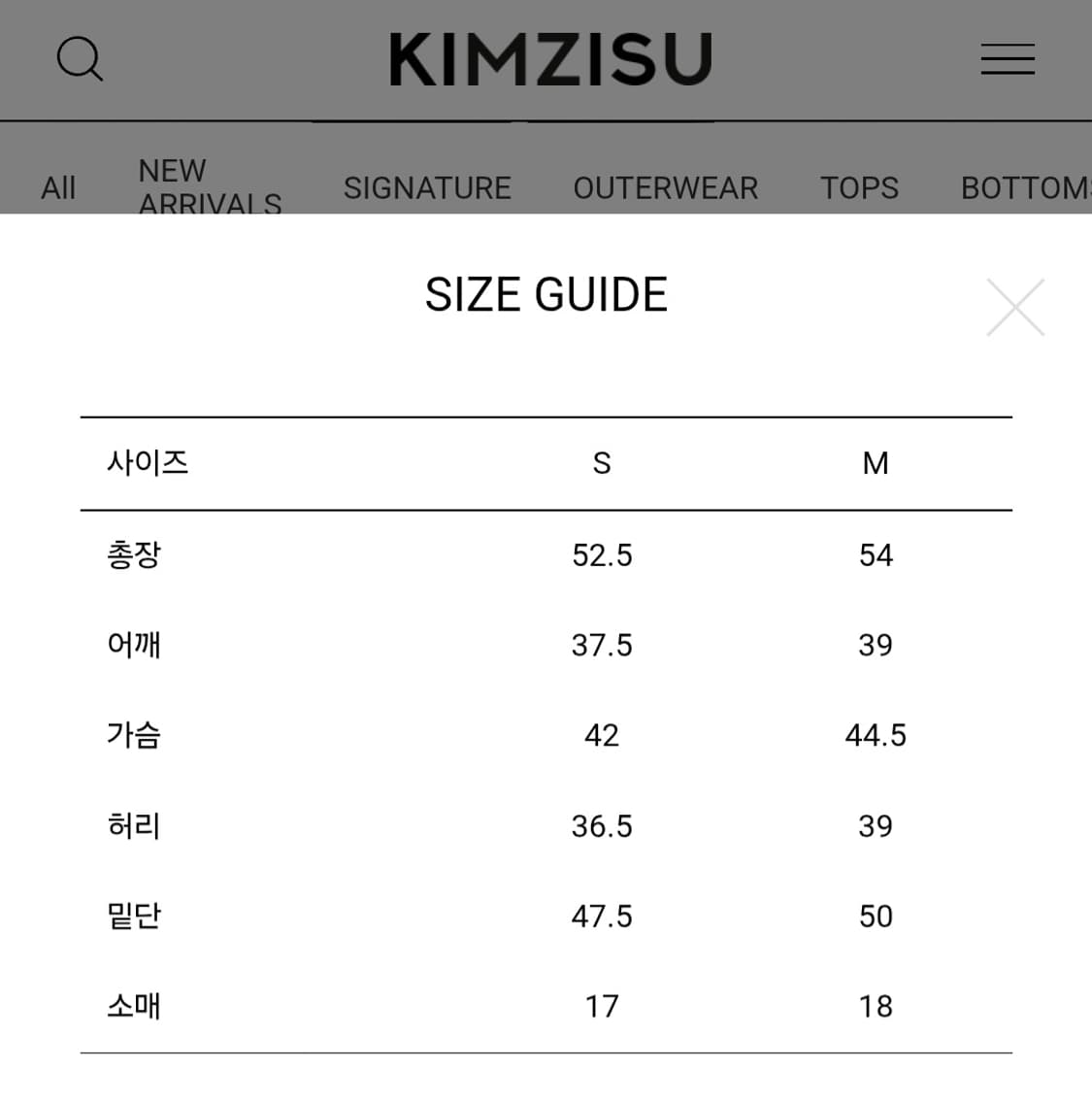 킴지수 셔츠 DOZI - Puffed Button Up Shirts 상품이미지9