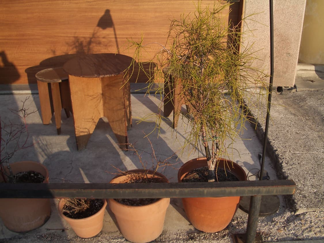 Pentax Optio 펜탁스 옵티오 s5i 빈티지 디카 상품이미지9