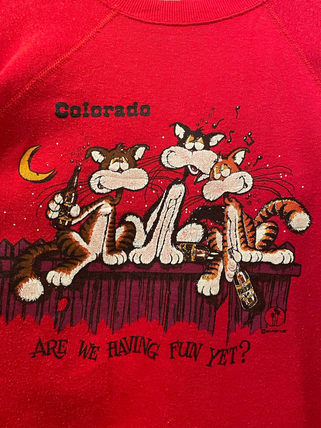 1980-90s Vintage Graphic Sweatshirt USA 상품이미지4