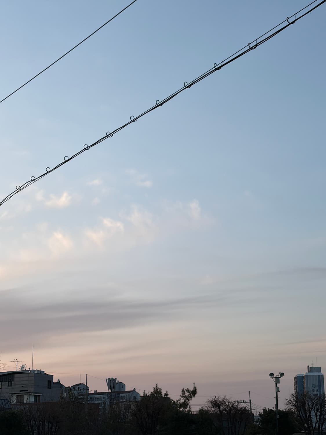 memegoma님 결제창 상품이미지1