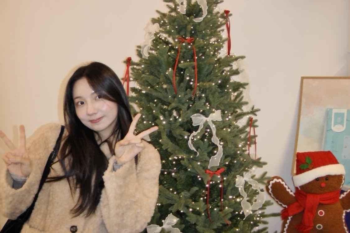 빈티지 캠코더 파나소닉 HDC-TM350 상품이미지3