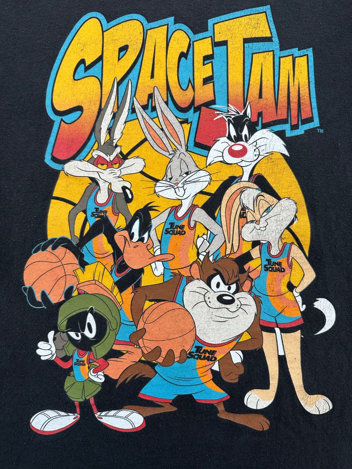 Looney Tunes 워너브로스 스페이스 잼 마이클 조던 르브론 제임스 상품이미지3