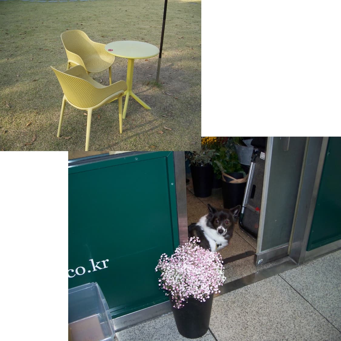 코닥 이지쉐어 c875 민희진 디카(작례 0) 상품이미지4