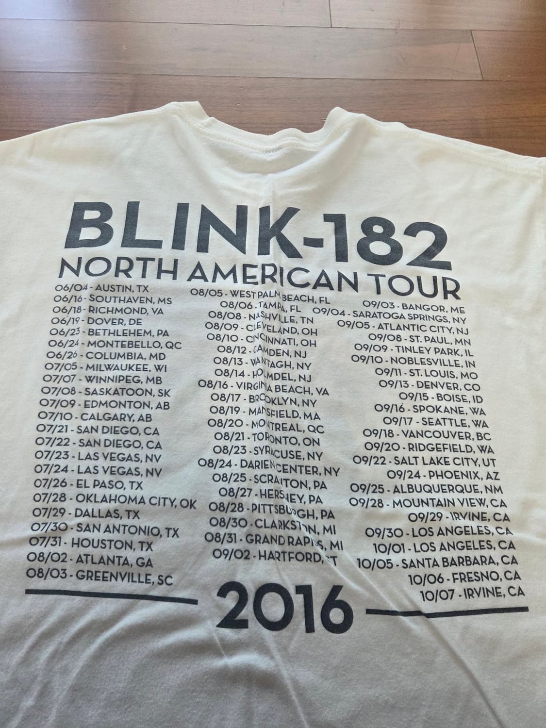 blink-182 밴드티 [L] 상품이미지4