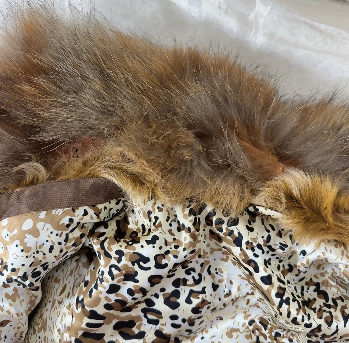 빈티지 라쿤퍼 칼라 양털 토스카나 코트 상품이미지5