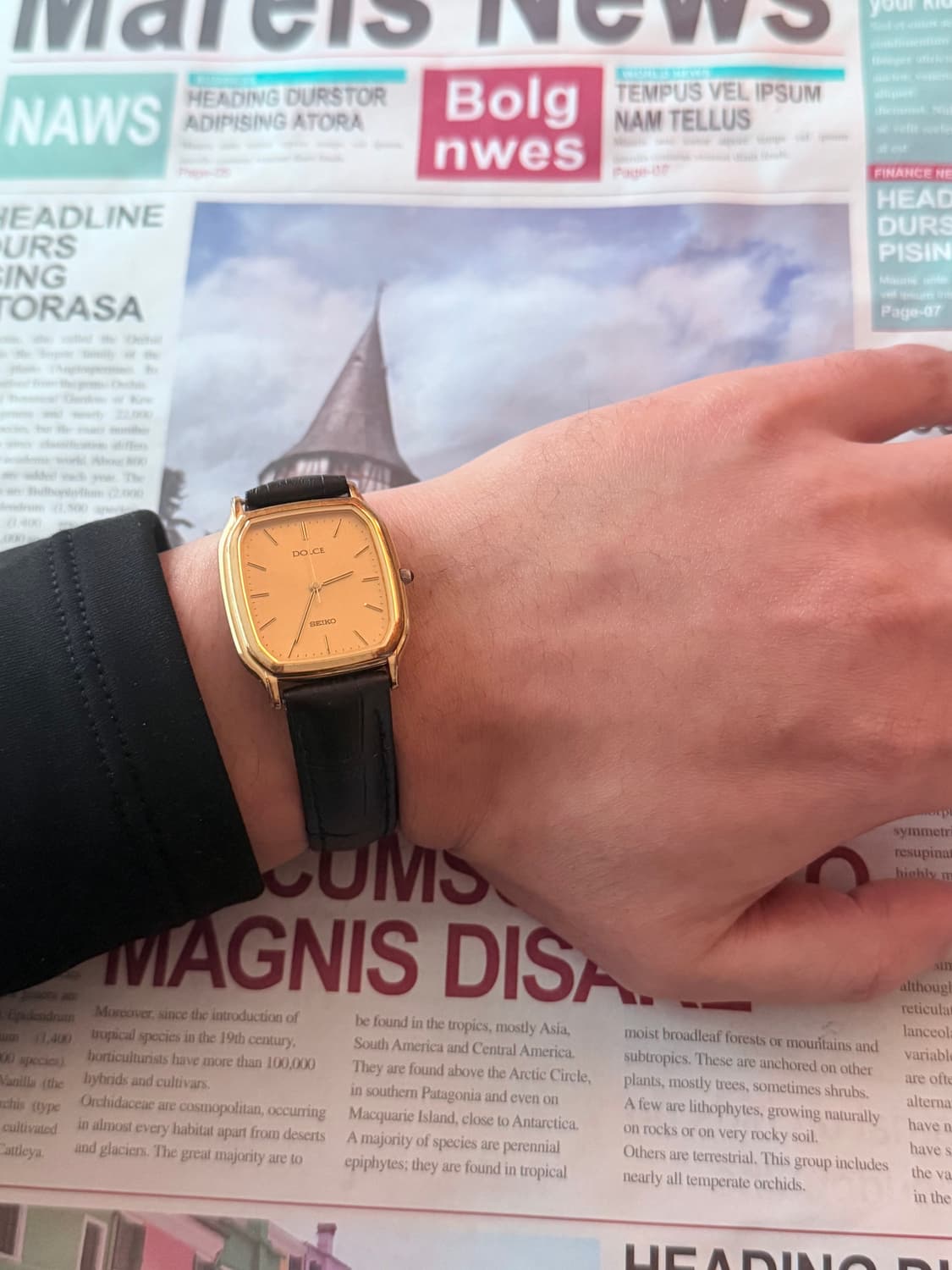 세이코 Seiko Dolce 골드 스퀘어 상품이미지4