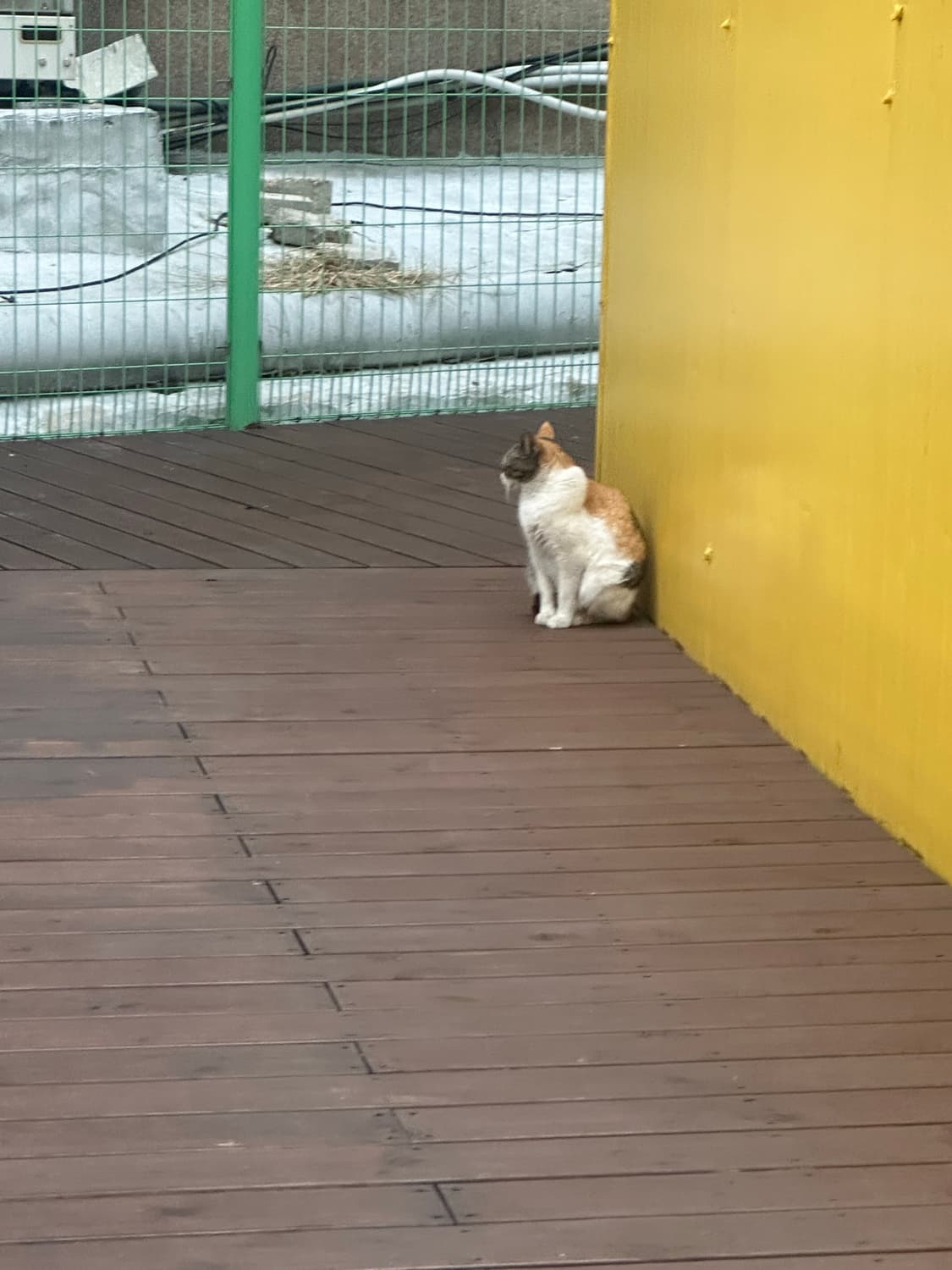 개인결제창 상품이미지1