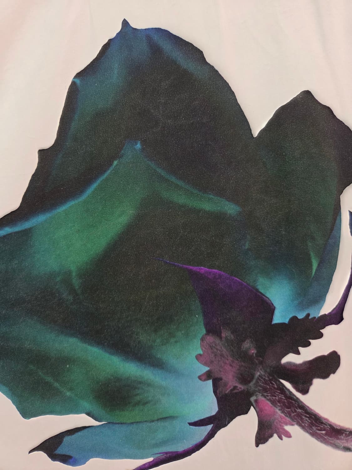 38 아크네스튜디오 플라워 프린팅 튜닉 블라우스 상품이미지4