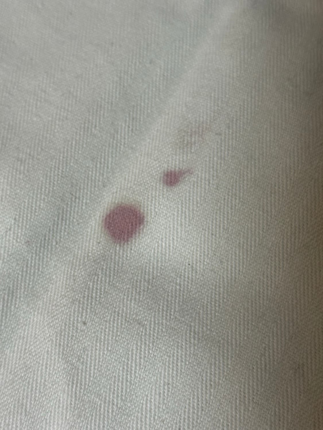 로에베 아나그램 스니커즈 화이트 37 상품이미지3