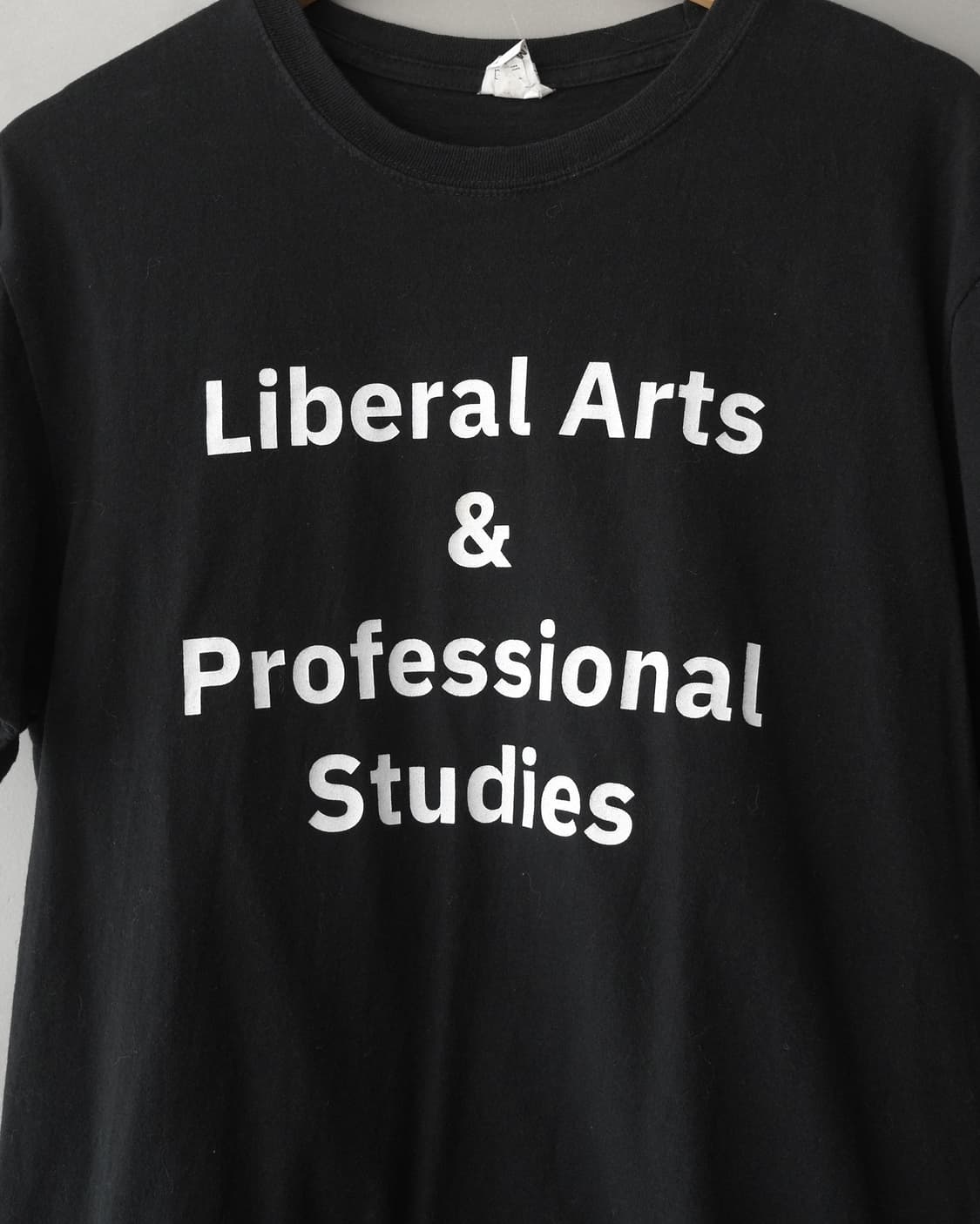 Liber Arts & Professional Studies 상품이미지4