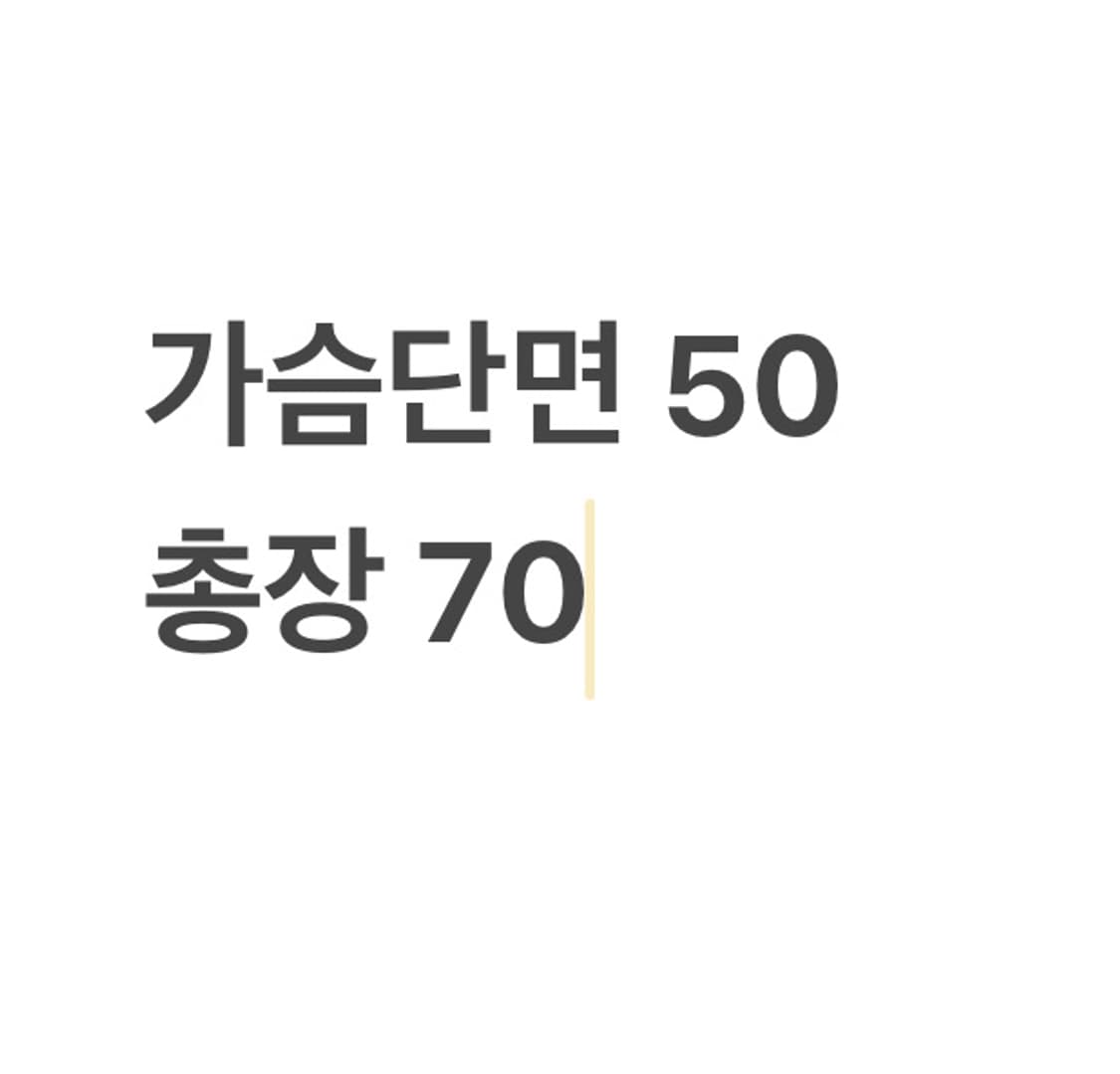 폴로랄프로렌 그레이 스트라이프 셔츠 상품이미지4