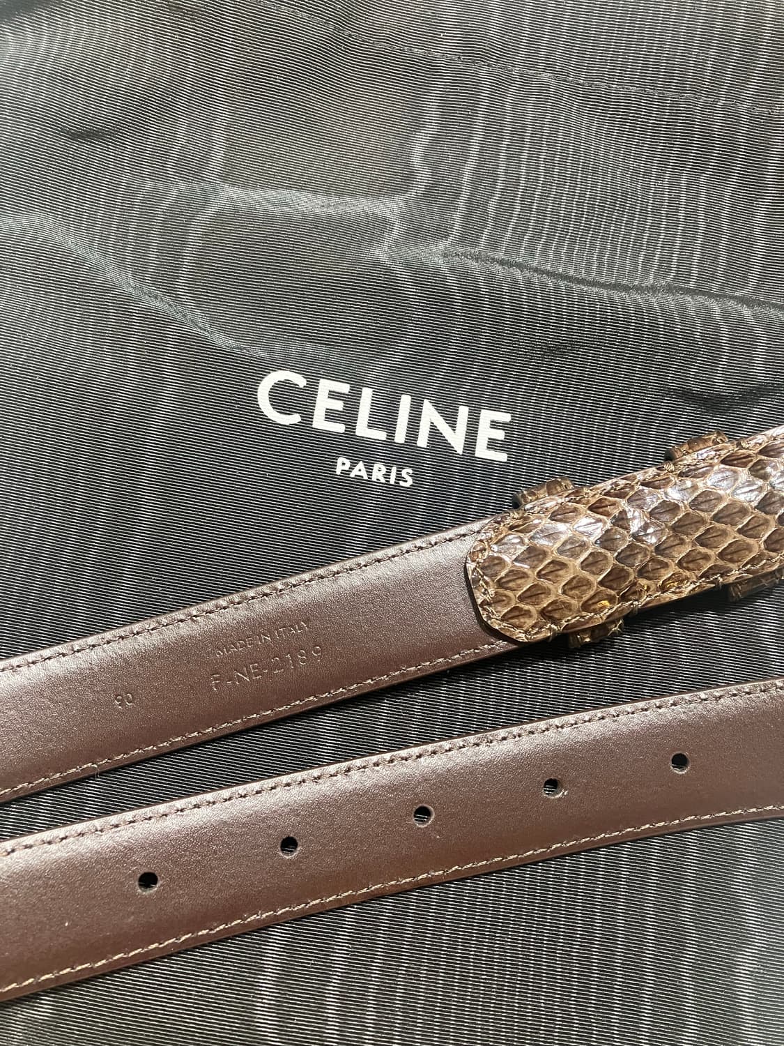 Celine 셀린 - 20시즌 Water Snake Belt 상품이미지2