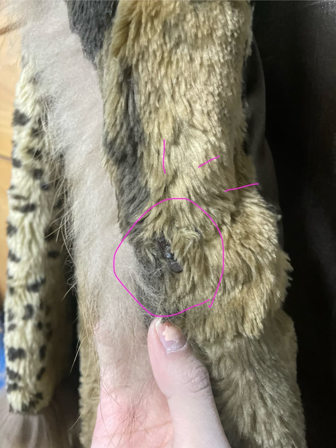 와투케 오리엔탈 페어리 레오파드 퍼자켓๑๑)۶ 상품이미지5