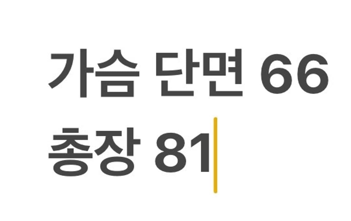 [정품/2XL] 노스페이스 맥머도 덕다운 패딩 b17 상품이미지9