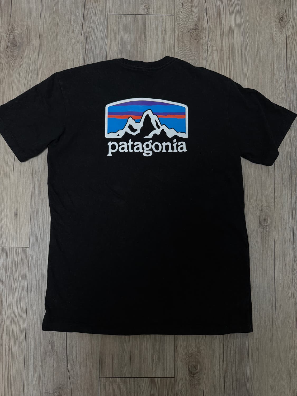 파타고니아 반팔 상품이미지1
