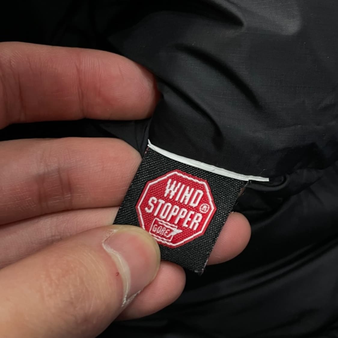 100 코오롱스포츠 윈드스토퍼 패딩  상품이미지3