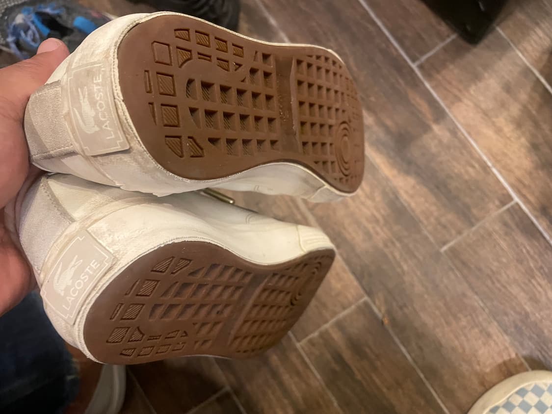 라코스테 스니커즈 240 상품이미지2