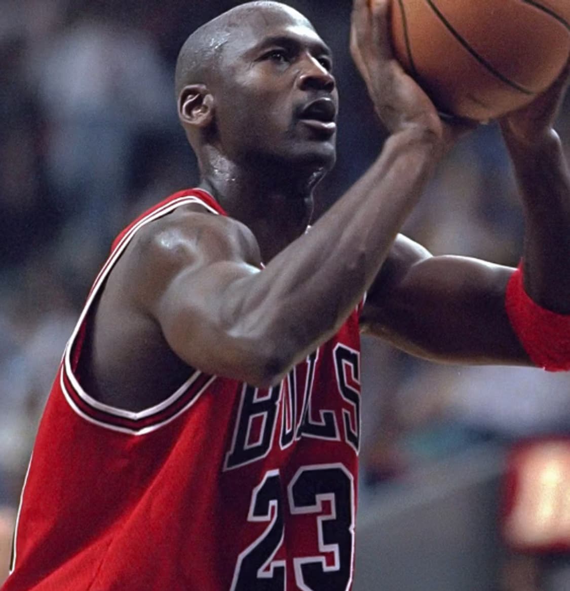 챔피온 시카고불스 마이클조던 상품이미지8