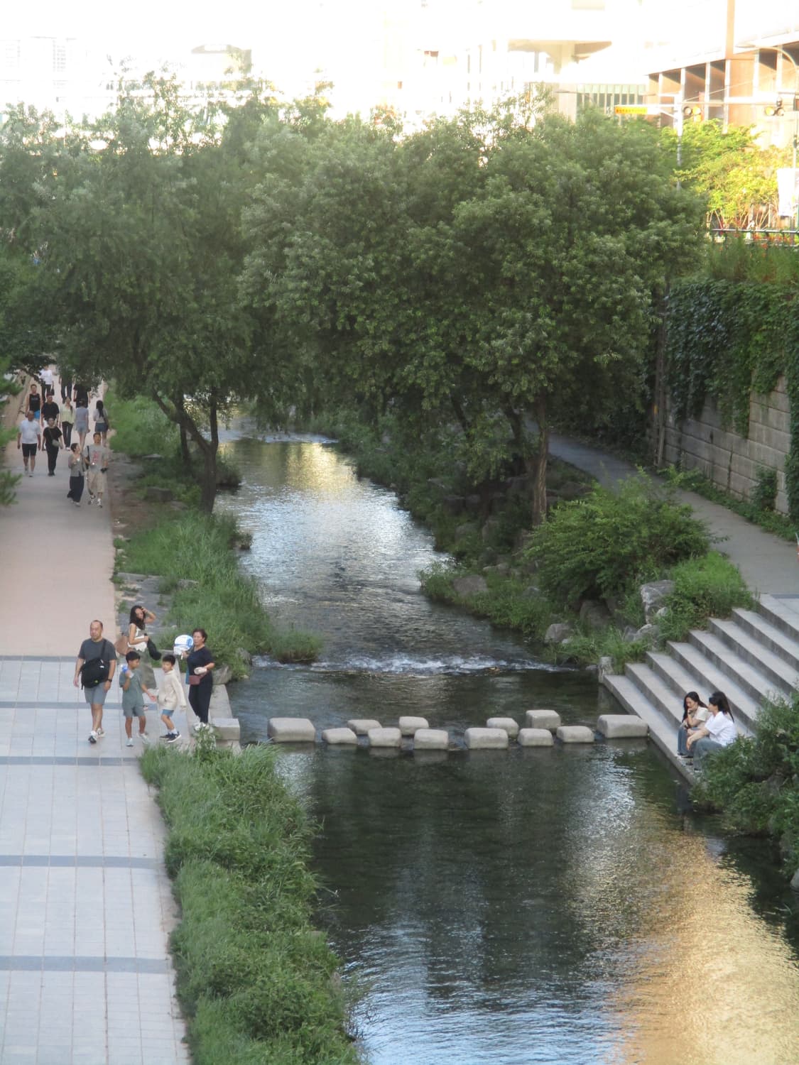 인물사진&강추!) Canon IXUS 860 IS 디카 카메라 상품이미지6