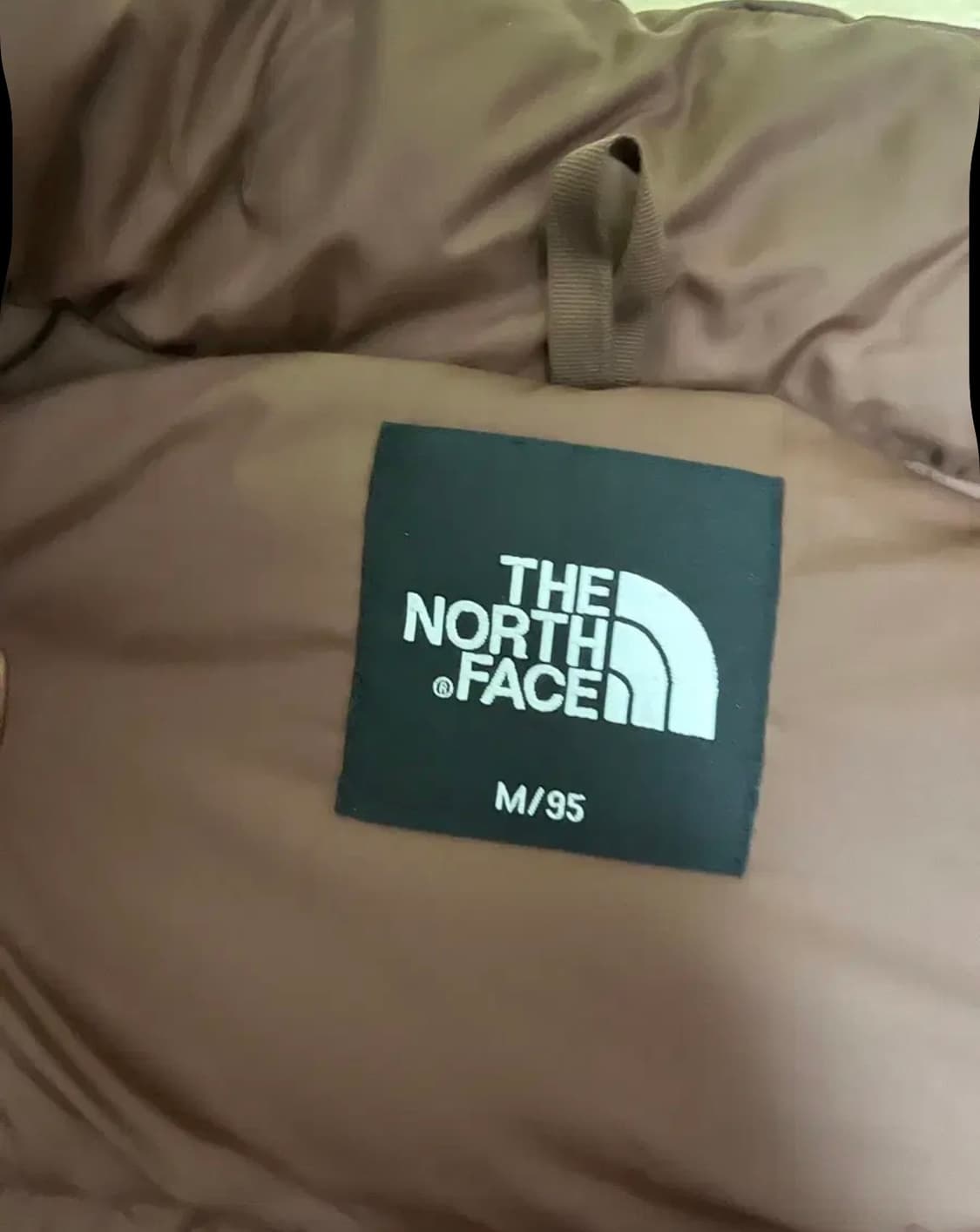 노스페이스 1996 에코 눕시 브라운 상품이미지3