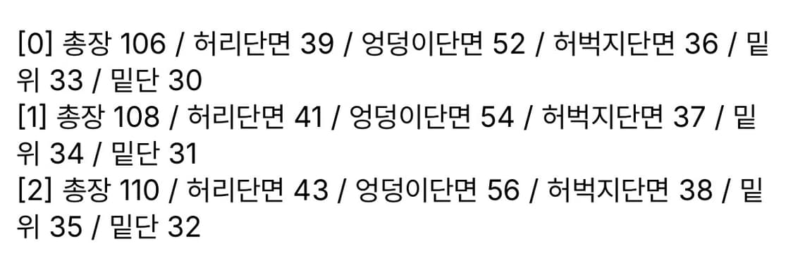 다이브인 베른 카고 팬츠 1 상품이미지6