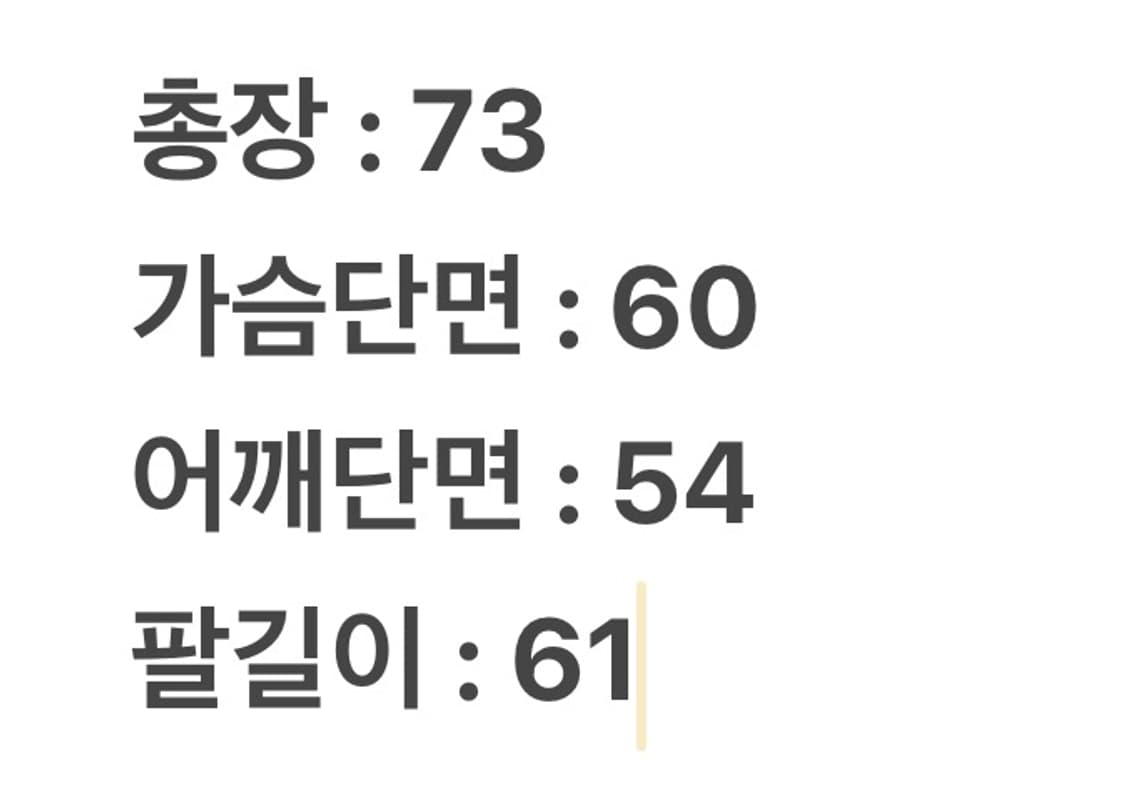 [ 정품/100 ] 노스페이스 고어텍스 바람막이 자켓 상품이미지7