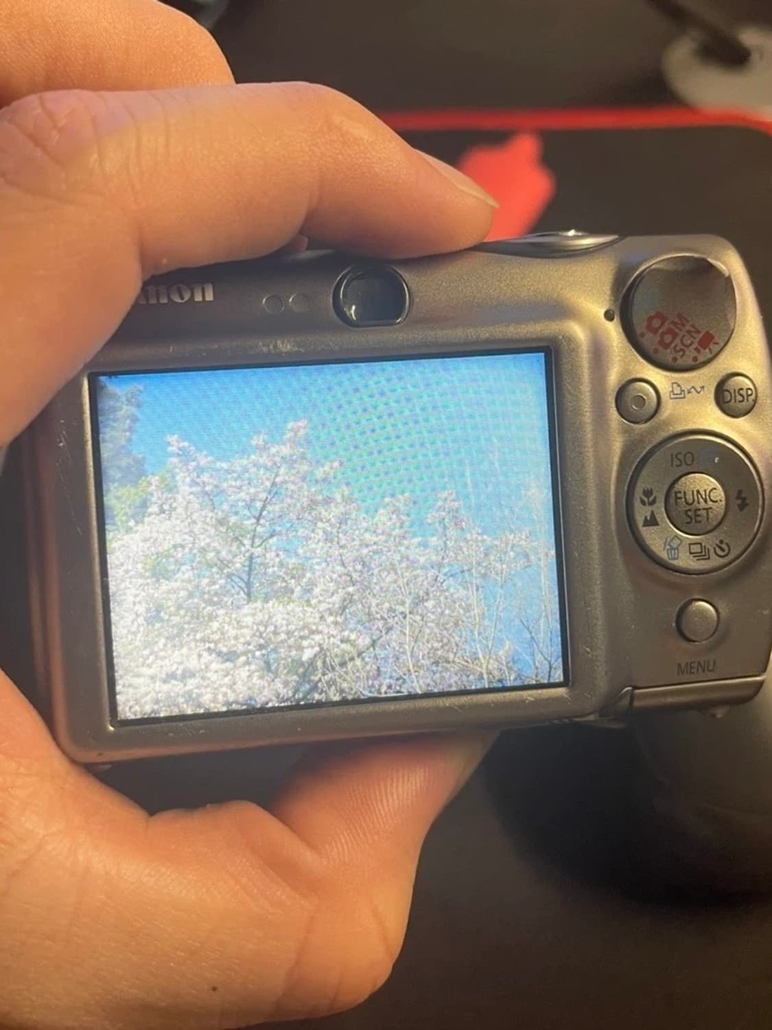 희귀) 캐논 익서스 ixus 900 ti ixy 1000 작례🅾️ 상품이미지5