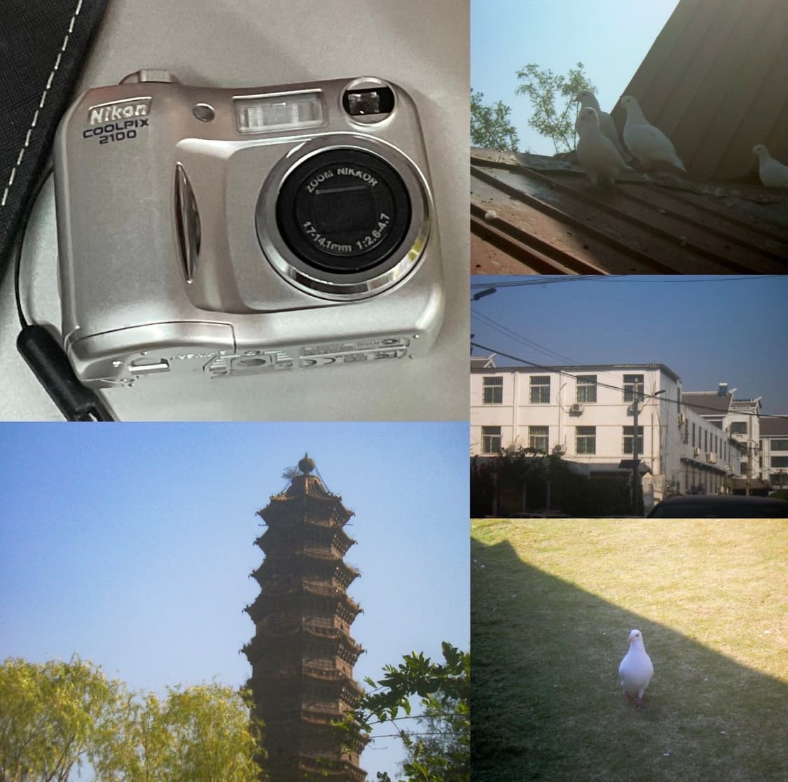 (사쿠라디카🎀) 상태최고 니콘 쿨픽스 2100 블루 상품이미지4