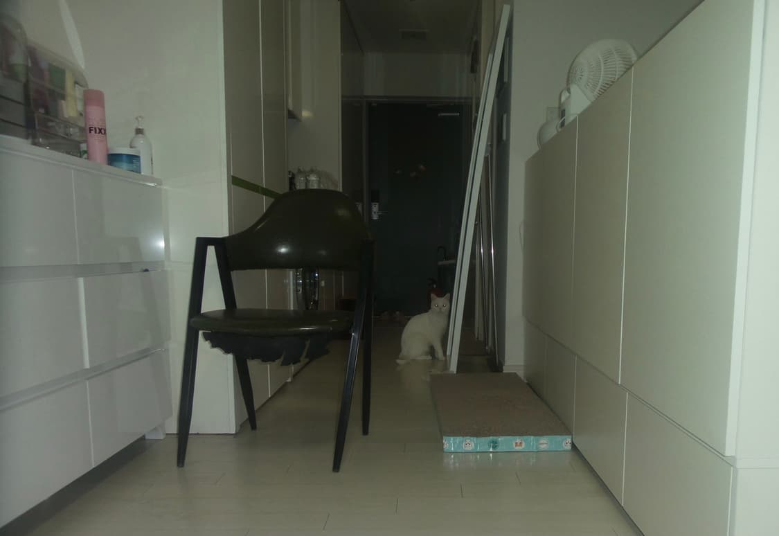 작례👌🏻뽀용🫧초희귀!) 삼성 갤럭시 zoom4 상품이미지2