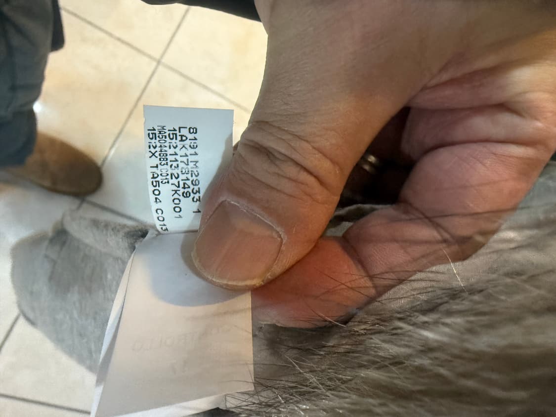 42/66 정품 부르넬로 쿠치넬리 알파카 롱코트 팝니다 상품이미지6