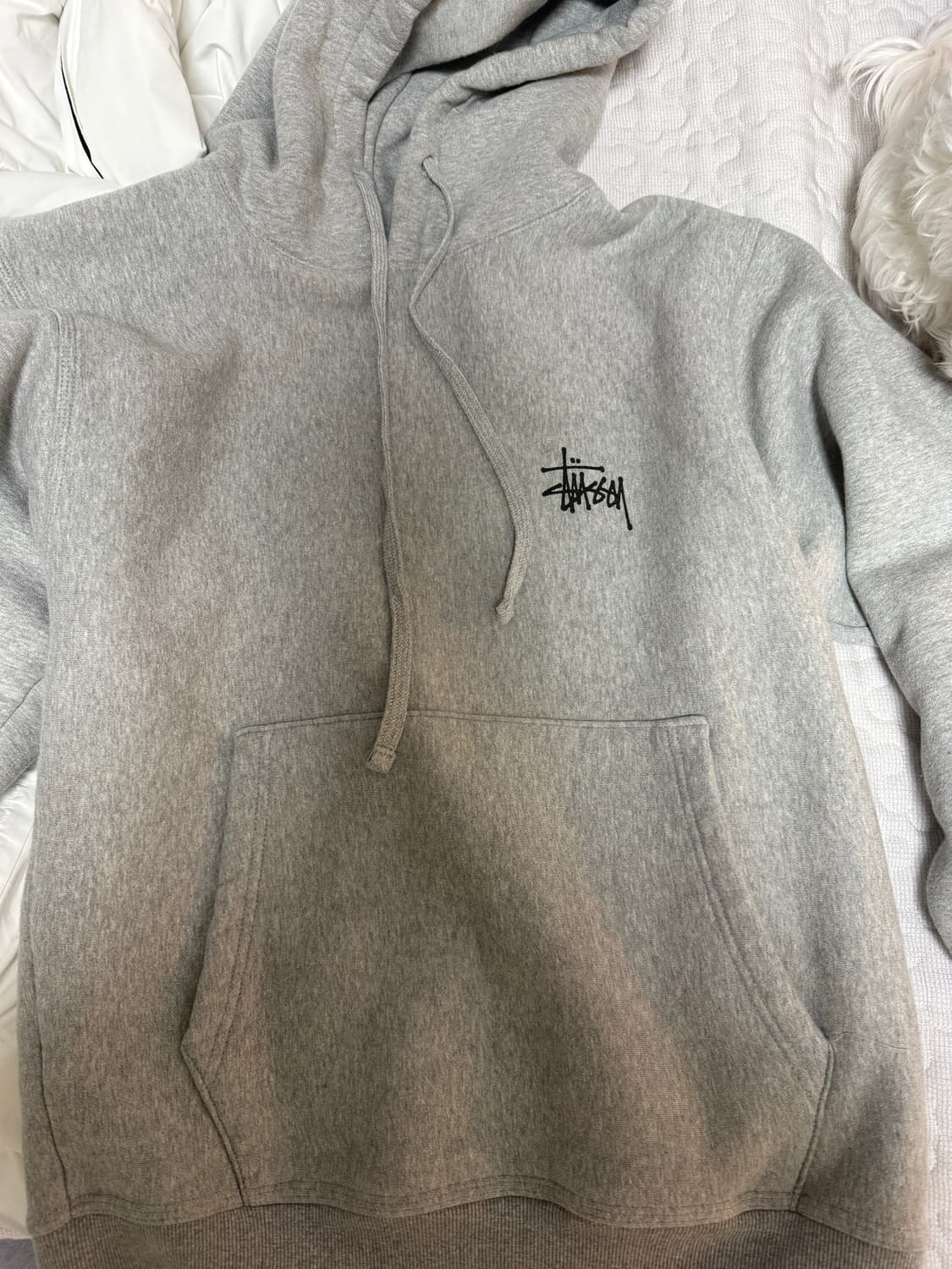 스투시 후드티 그레이 상품이미지1