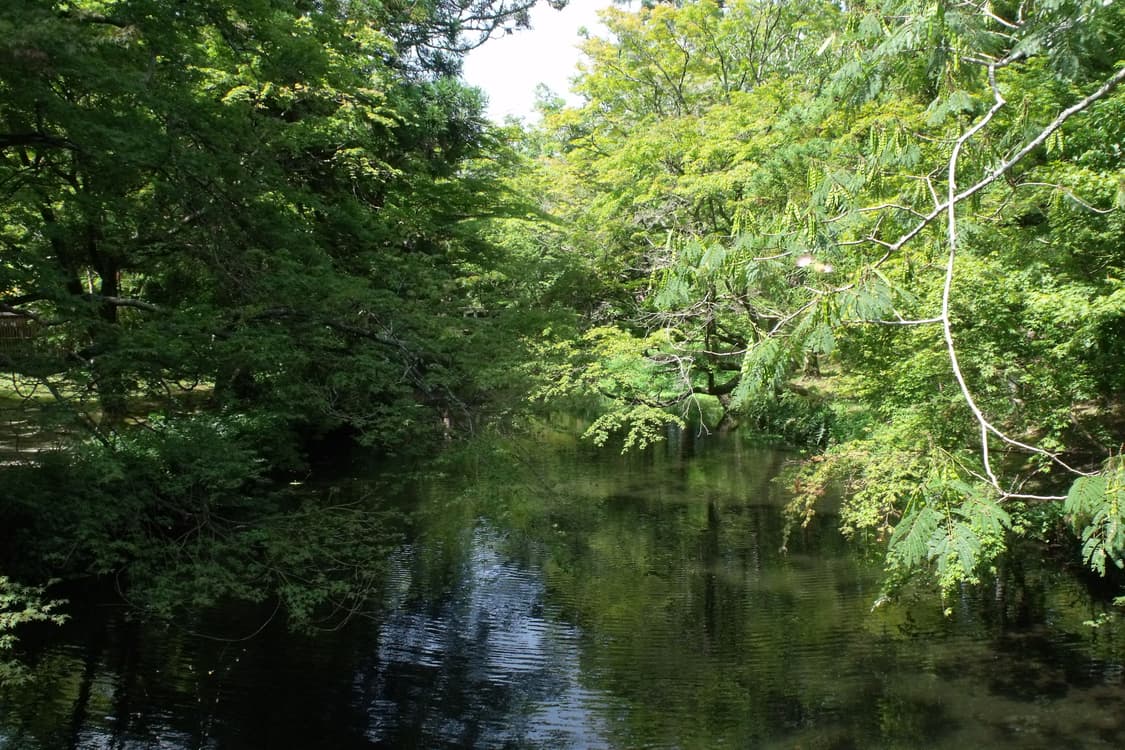 후지필름 파인픽스 s1500 Fujifilm finepix 상품이미지7