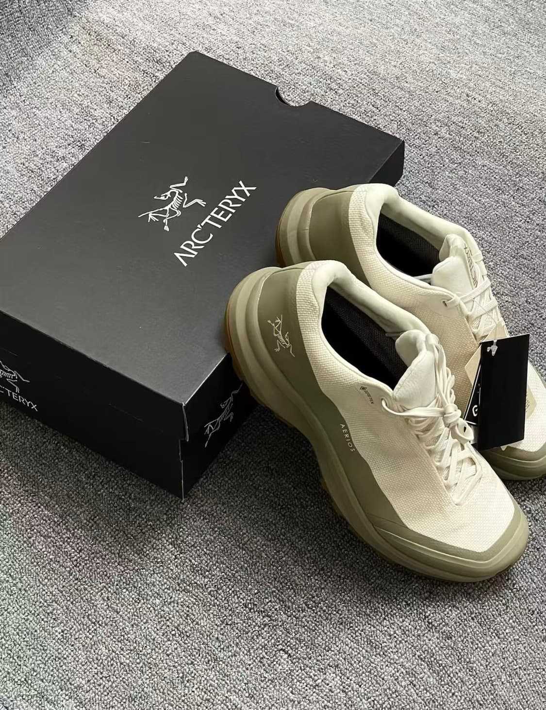 아크테릭스 에어리어스 FL 2 고어텍스 아크틱 실크 스모크 상품이미지3