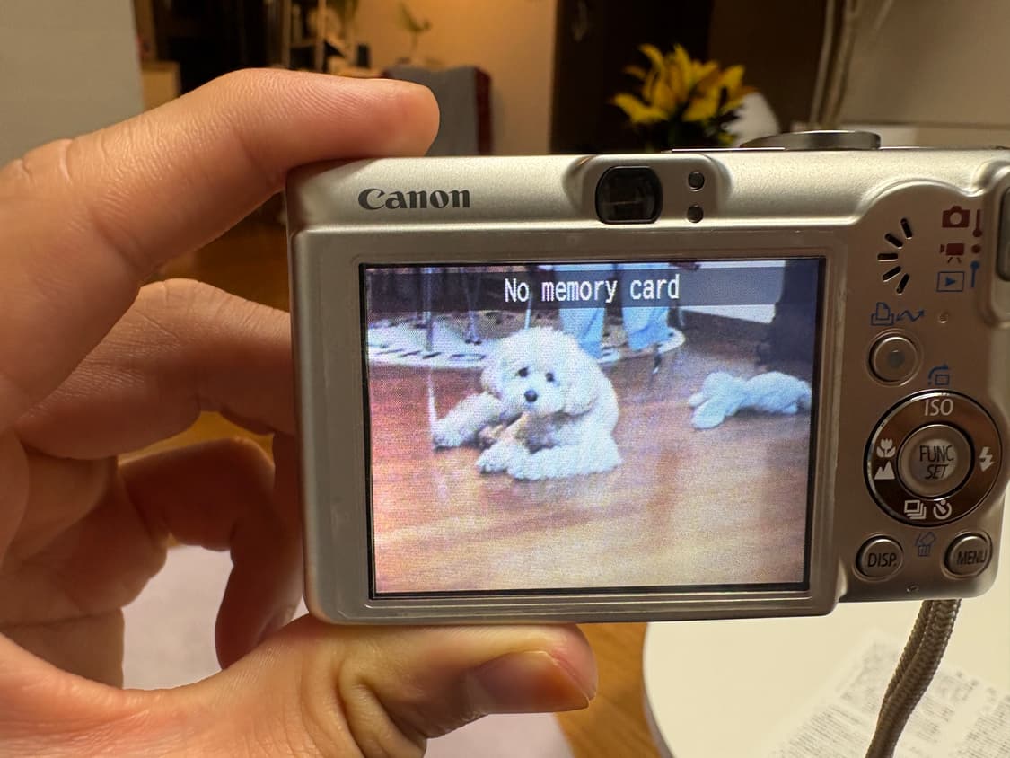 캐논 IXY DIGITAL 70 디지털카메라 새상품 상품이미지6