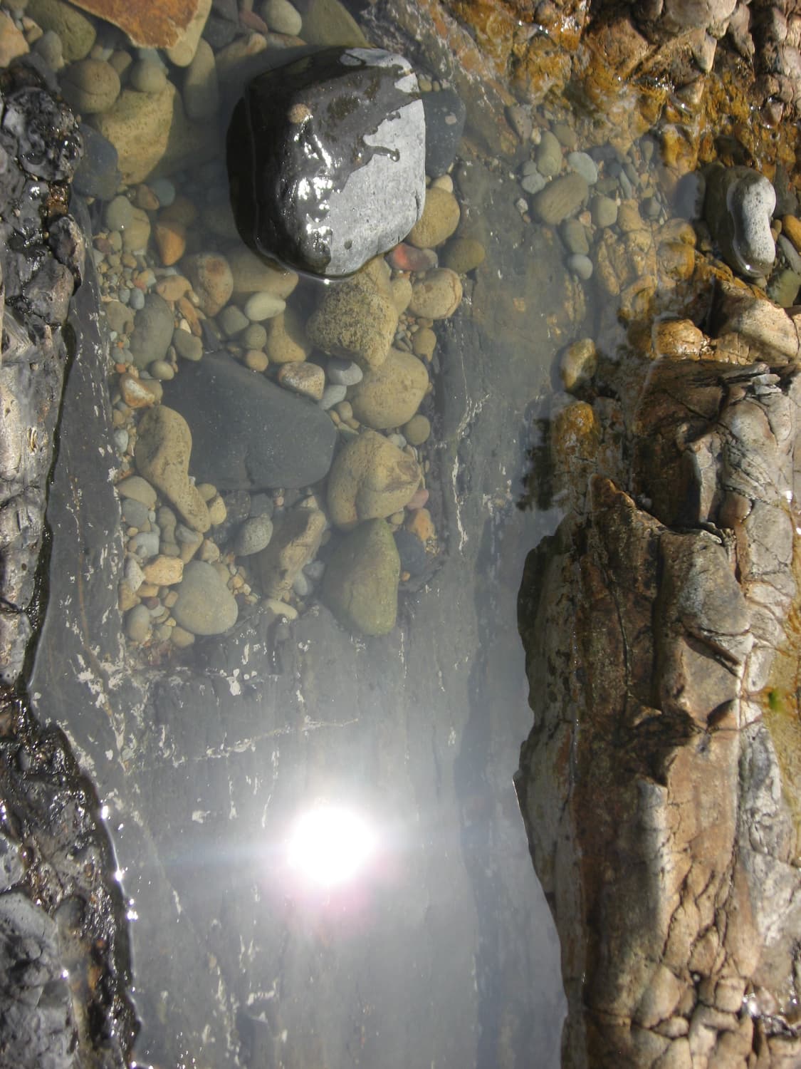 canon ixy800is/ ixus800is 상품이미지6