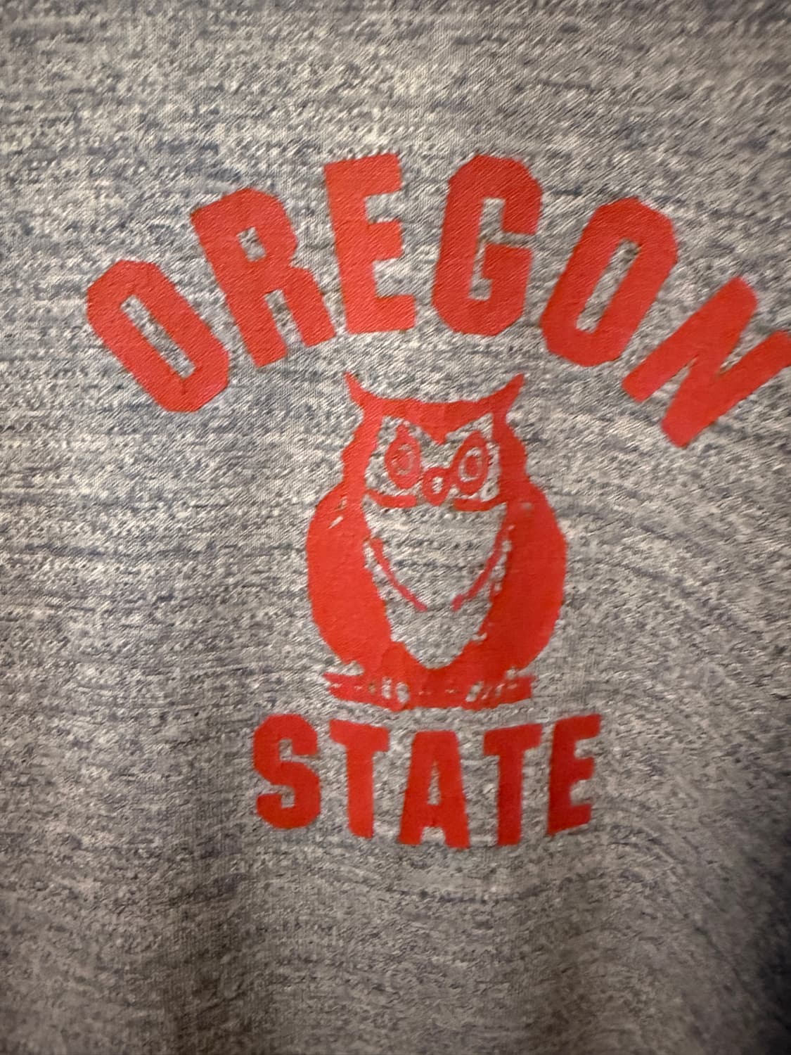 1990s Pearl Diver Oregon State 링거티 상품이미지3