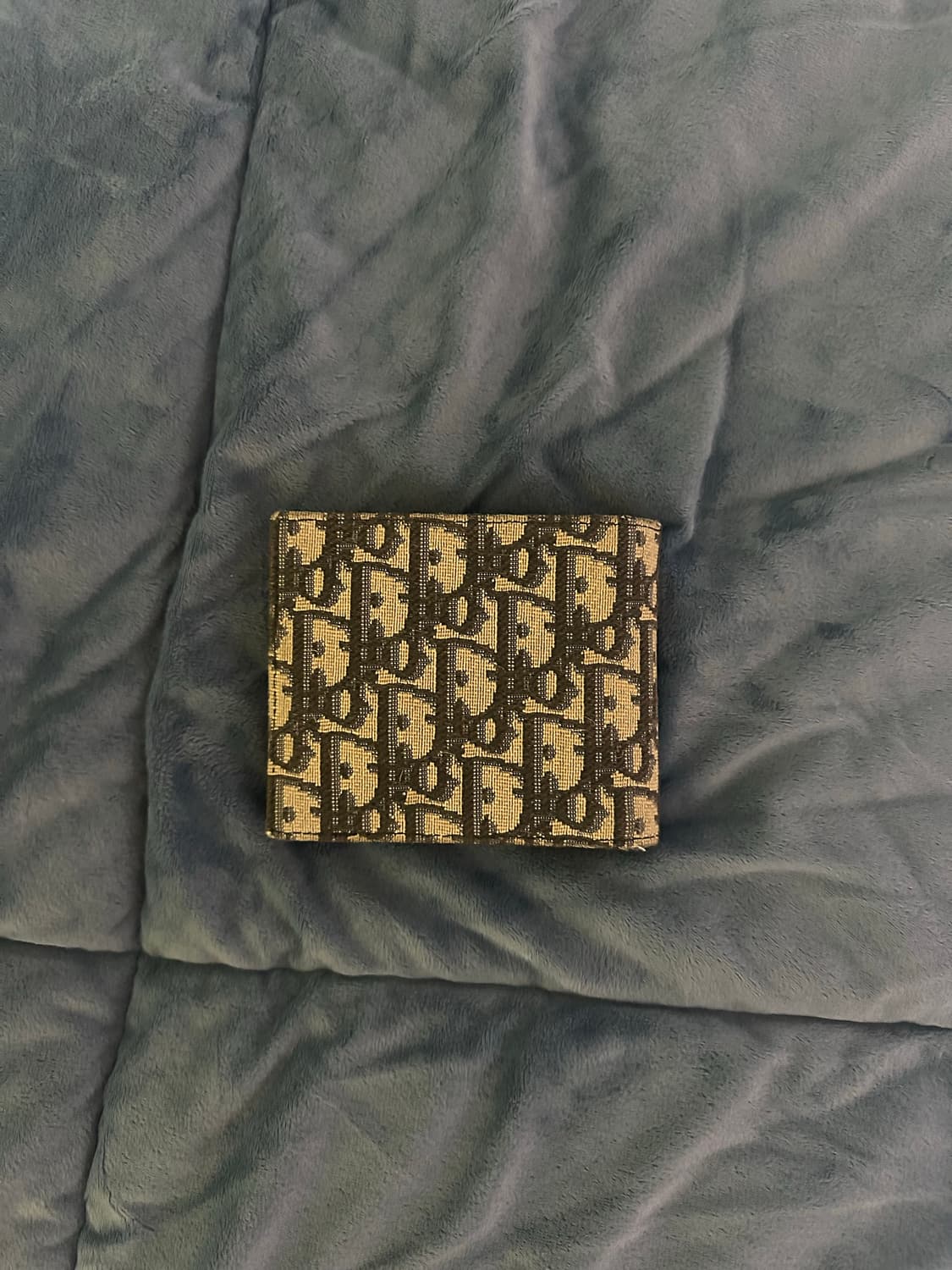 디올 오블리크 반지갑 상품이미지2