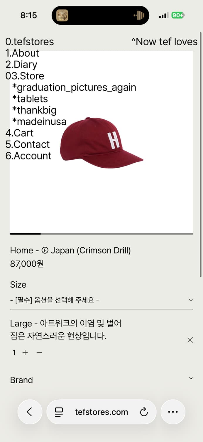 tefstores 캡 팝니다 상품이미지1