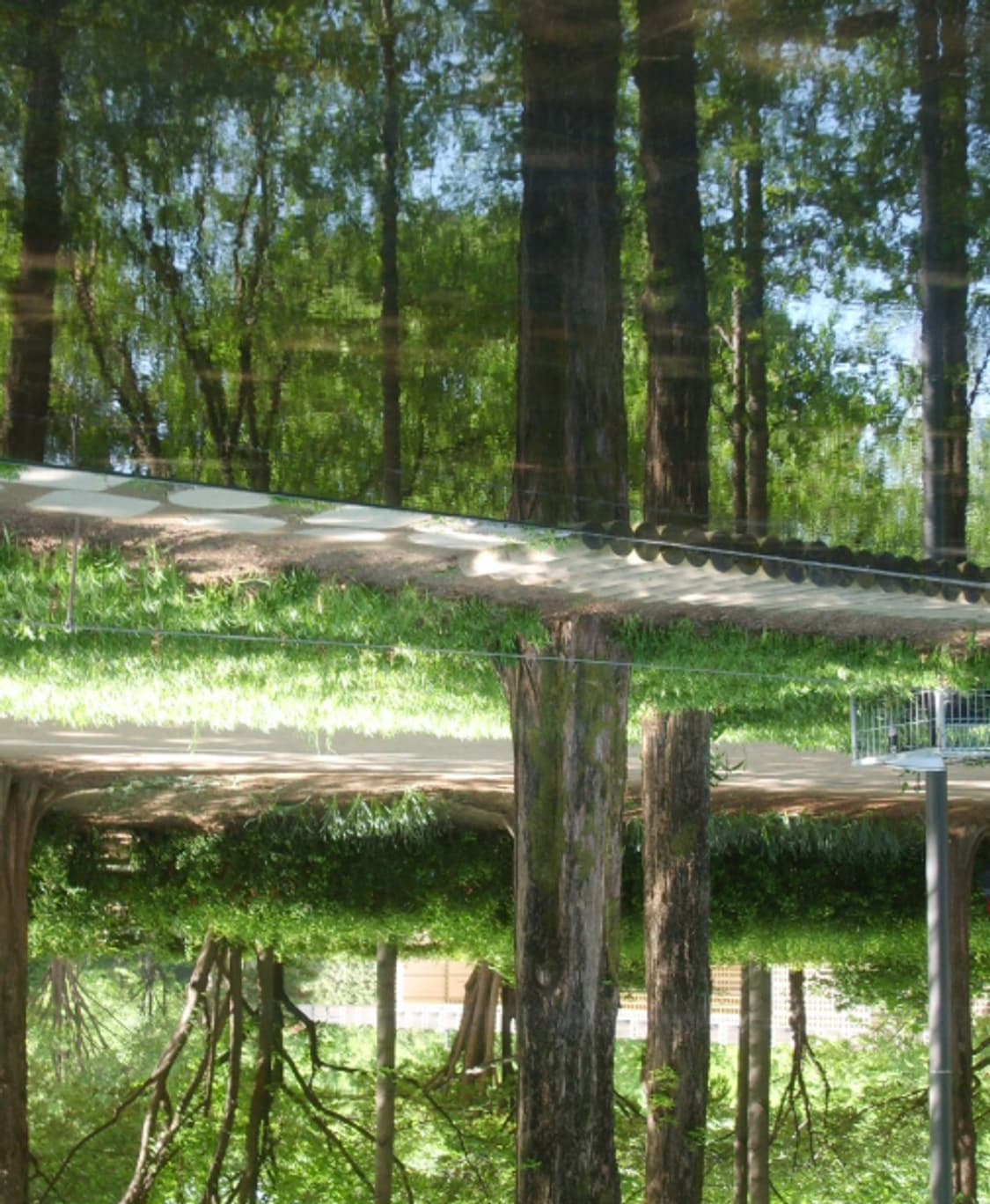 Canon power shot g6 빈티지 카메라 필름 느낌 풀세트 작례 상품이미지9