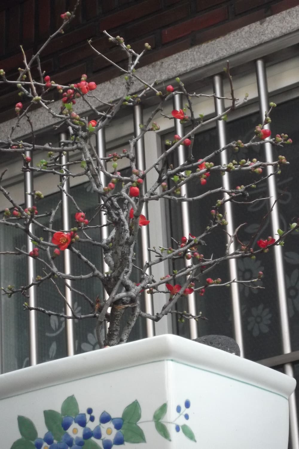 후지필름 파인픽스 L55 fujiflm finepix l55 상품이미지6