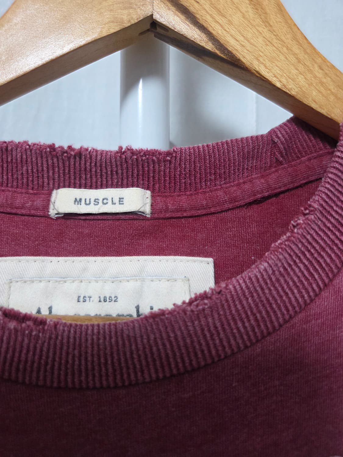 Abercrombie & Fitch 90s 사시코 디스트레스드 티셔츠 상품이미지4