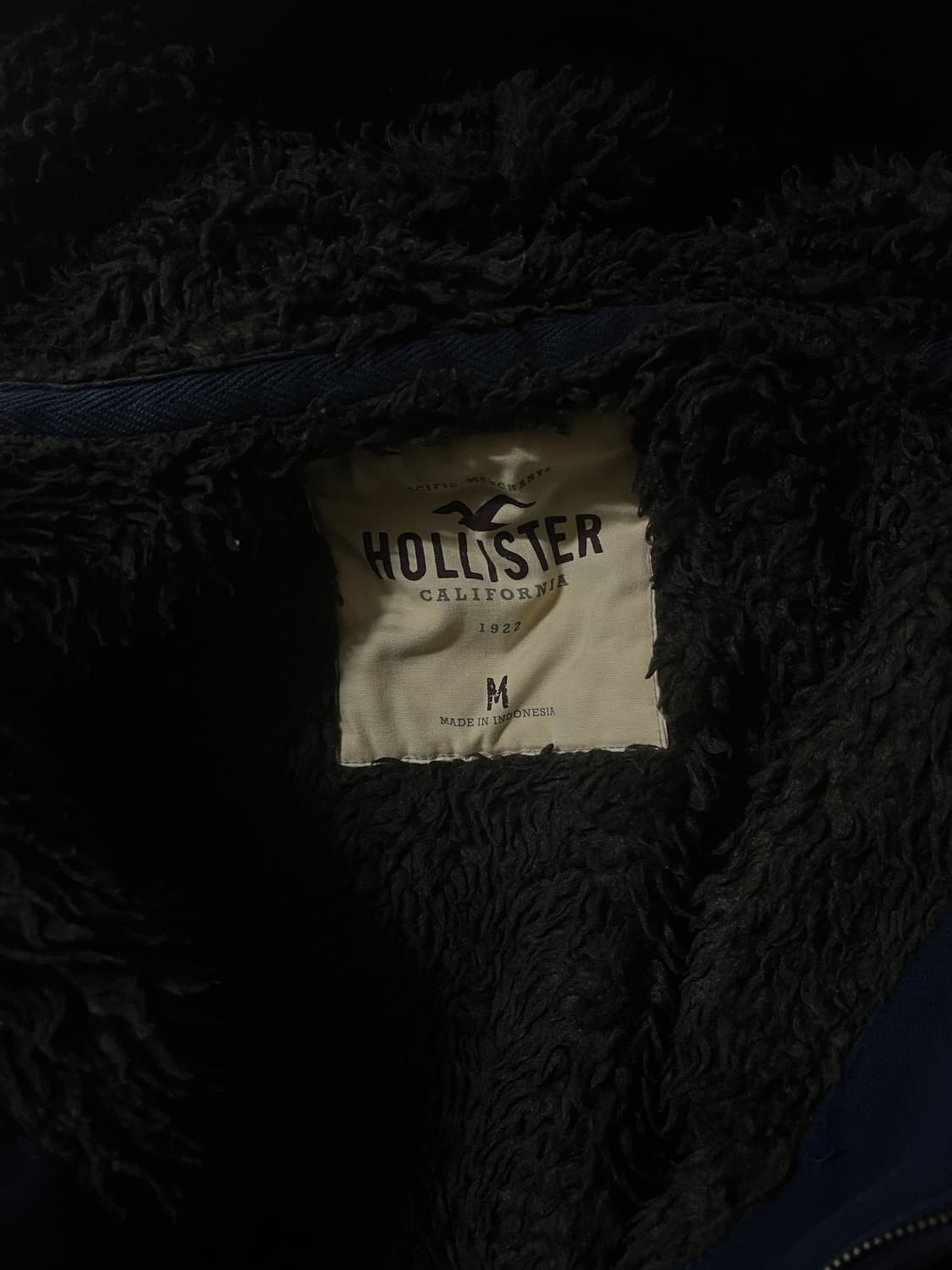 홀리스터 울프죠 상품이미지2